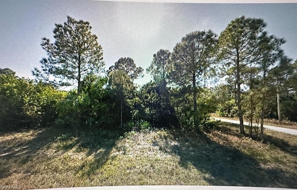 1234 Cresent ST E LEHIGH ACRES, FL 33974