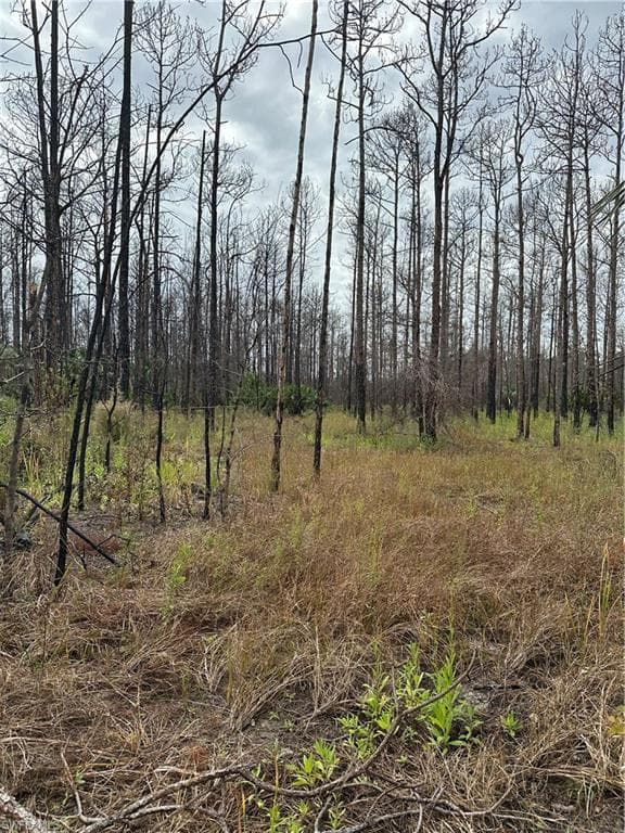 5205 Pioneer 20th ST CLEWISTON, FL 33440
