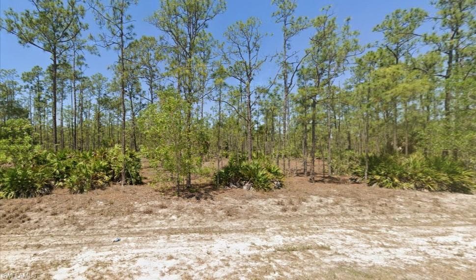 115 Scott AVE LEHIGH ACRES, FL 33936