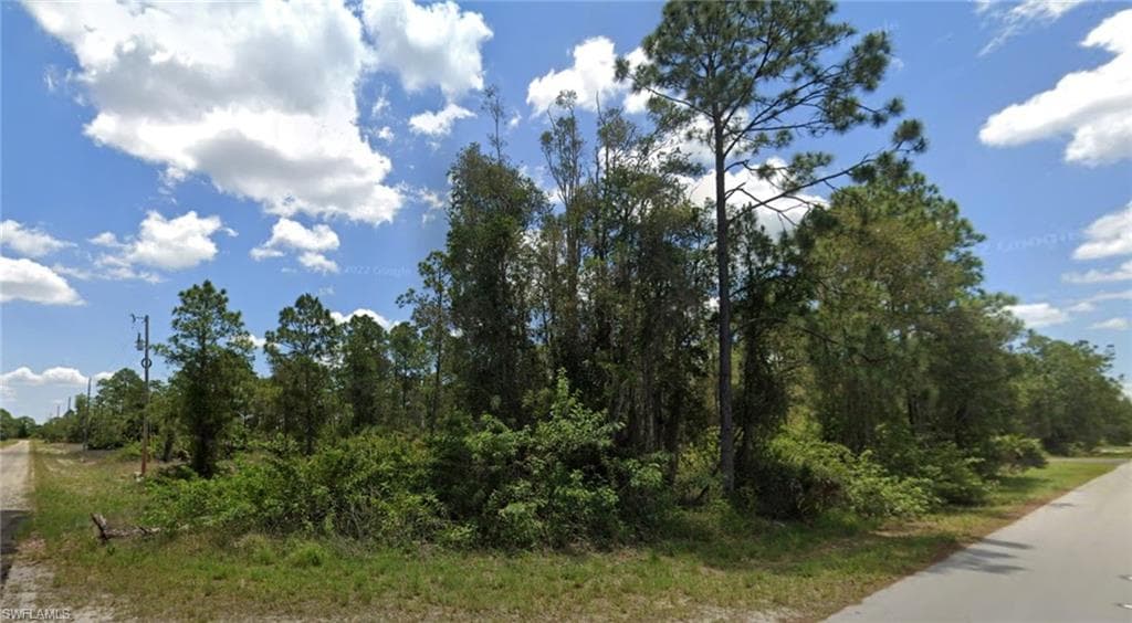 700 Avondale ST E LEHIGH ACRES, FL 33974
