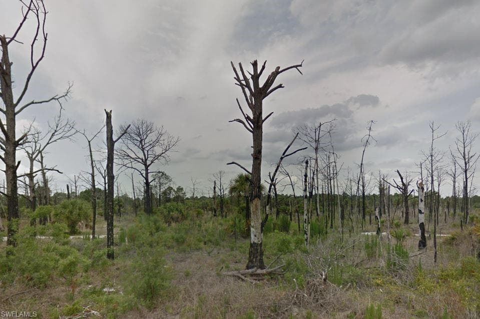 740 S Live Oak ST CLEWISTON, FL 33440