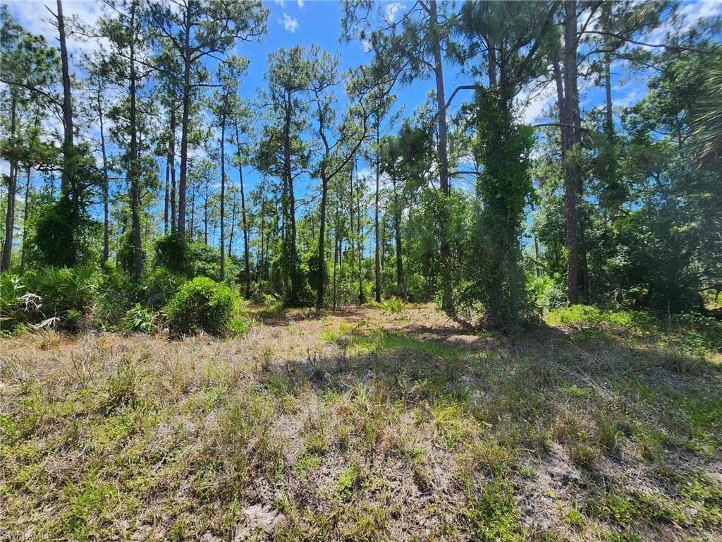 1217 Richmond AVE N LEHIGH ACRES, FL 33972