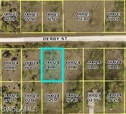 948 Derby ST LEHIGH ACRES, FL 33974