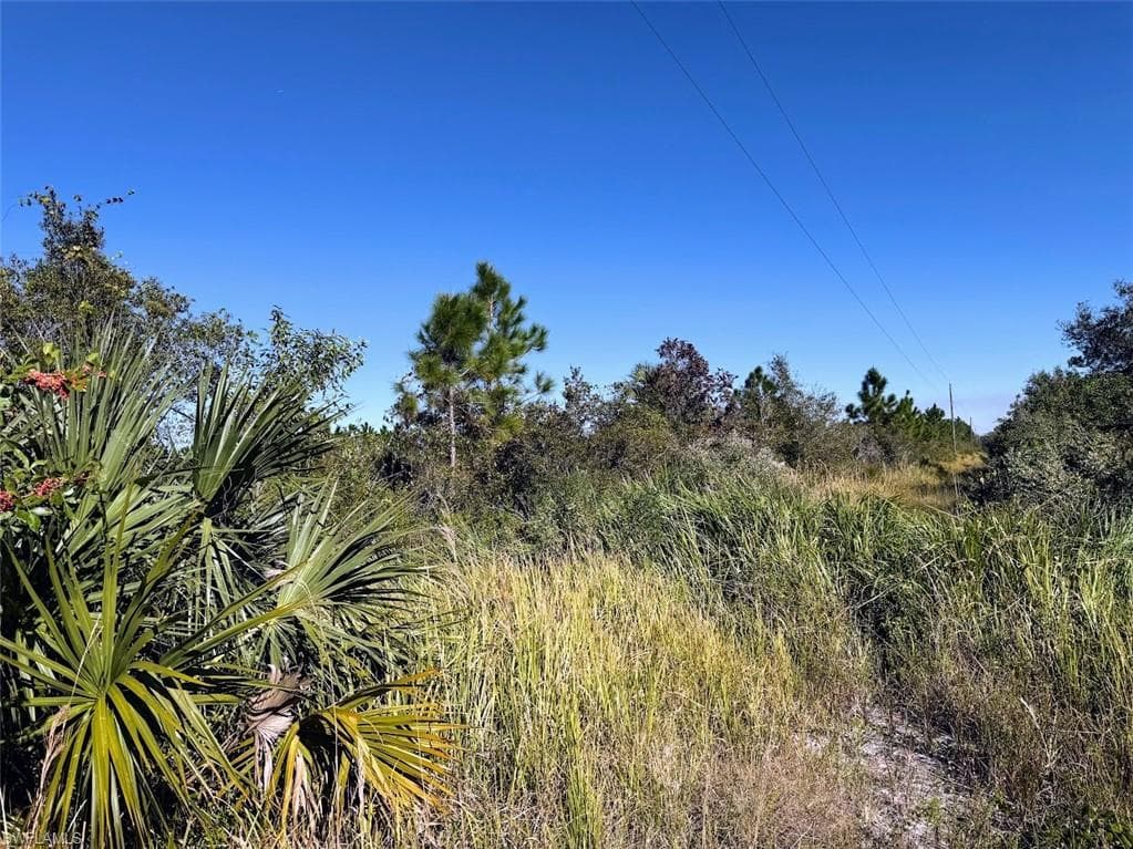 Siesta AVE LABELLE, FL 33935