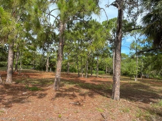 465 Gordonia RD NAPLES, FL 34108