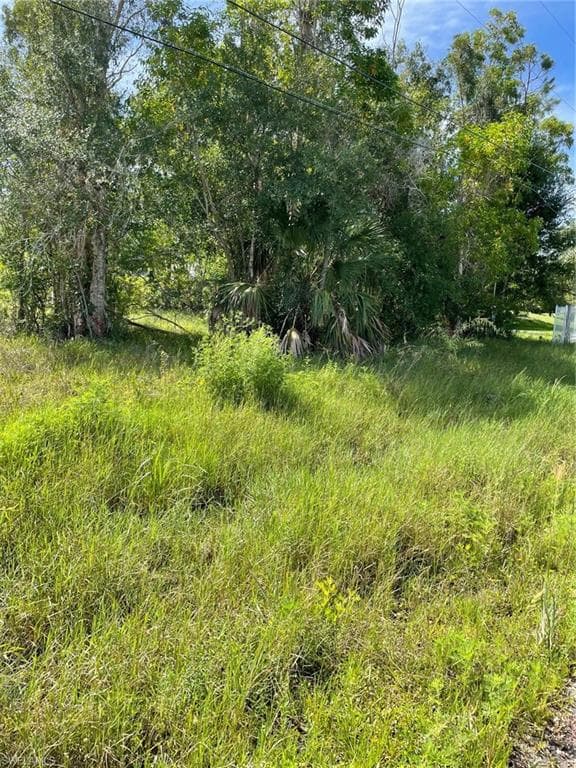 15221 Shamrock DR FORT MYERS, FL 33912