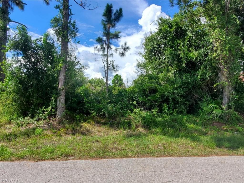 742 Clancy ST E LEHIGH ACRES, FL 33974