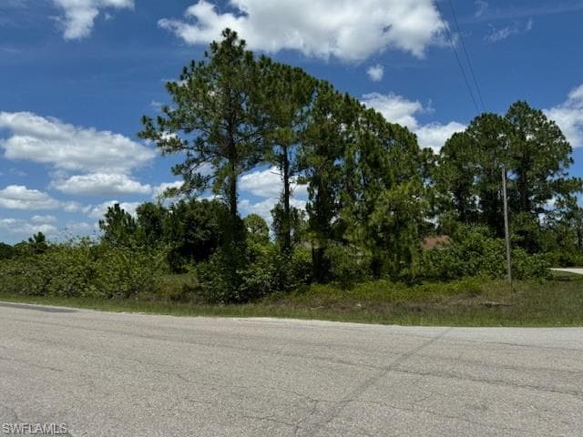 711 Eisenhower BLVD LEHIGH ACRES, FL 33974