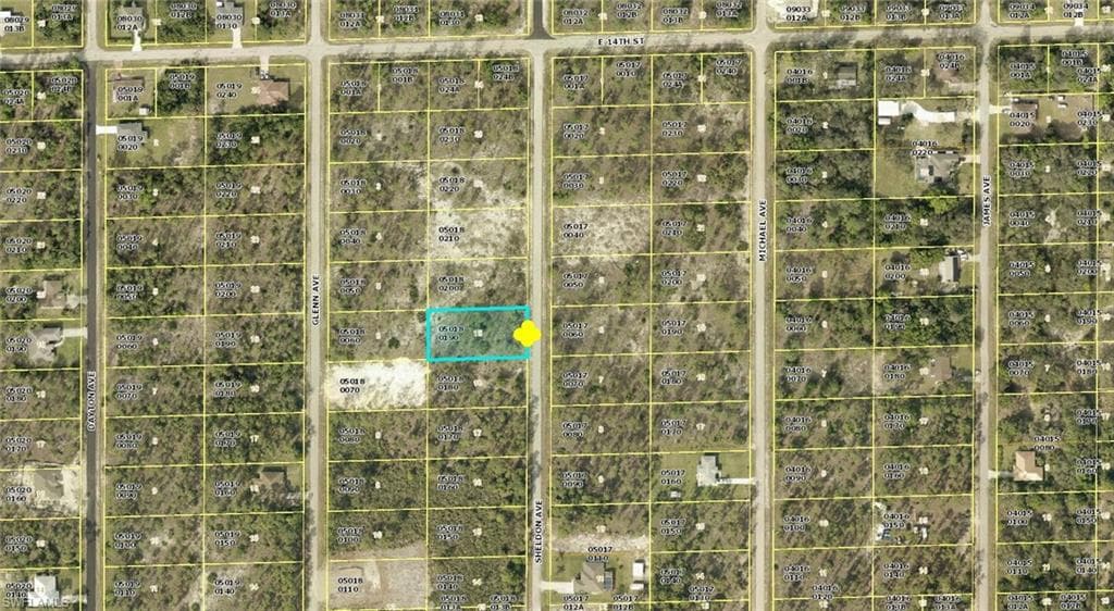 1313 Sheldon AVE LEHIGH ACRES, FL 33972