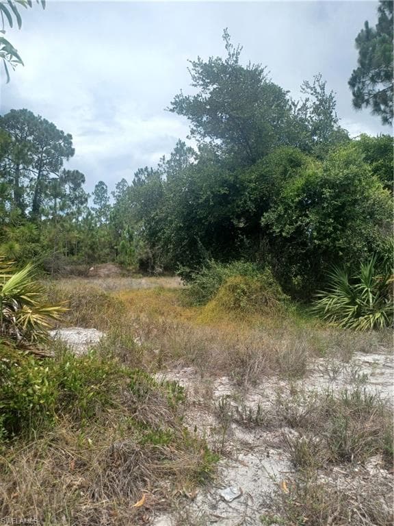 714 Aletha AVE S LEHIGH ACRES, FL 33974