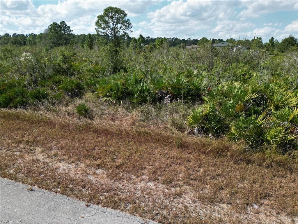 1717 Congress AVE LEHIGH ACRES, FL 33972