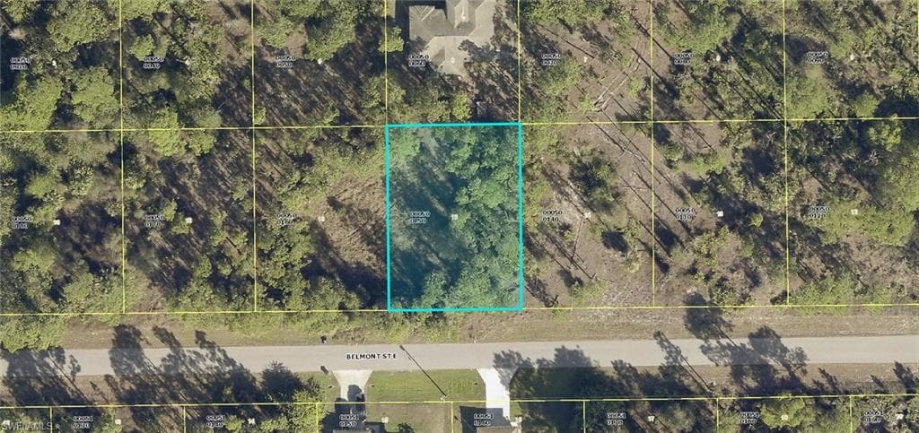 941 Belmont ST E LEHIGH ACRES, FL 33974