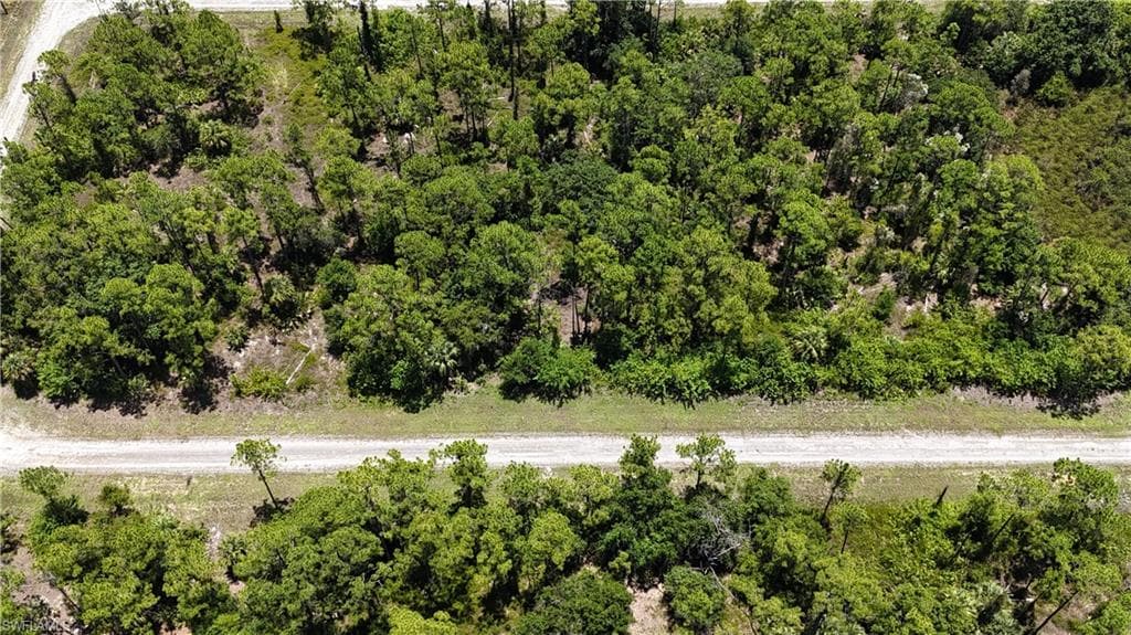 131 Nassau AVE S LEHIGH ACRES, FL 33974