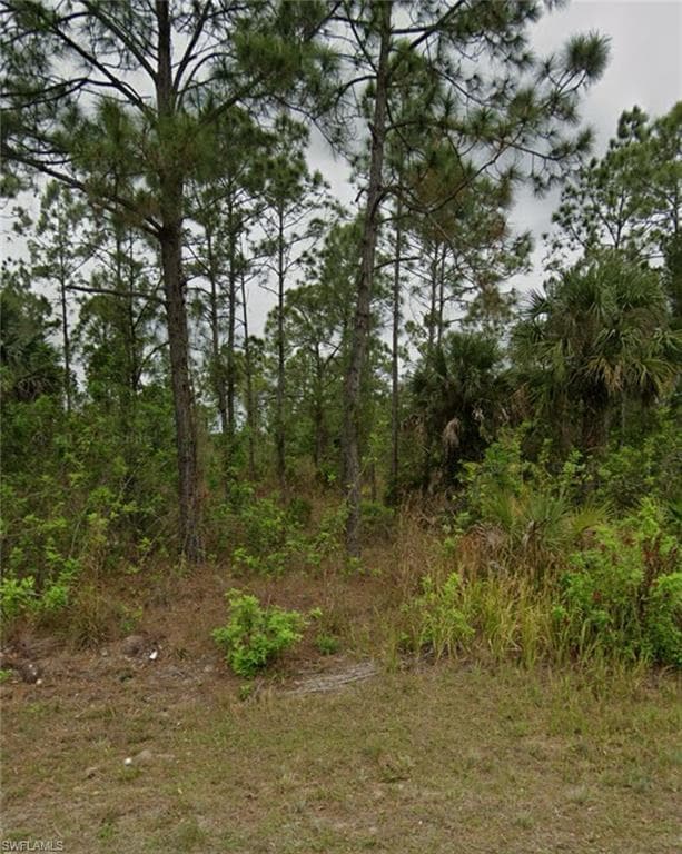 917 McKinley AVE LEHIGH ACRES, FL 33972