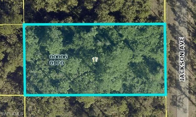 809 Jackson AVE LEHIGH ACRES, FL 33972