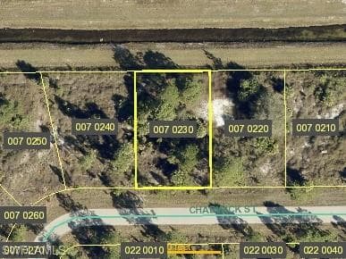 954 Chadwick ST LEHIGH ACRES, FL 33974