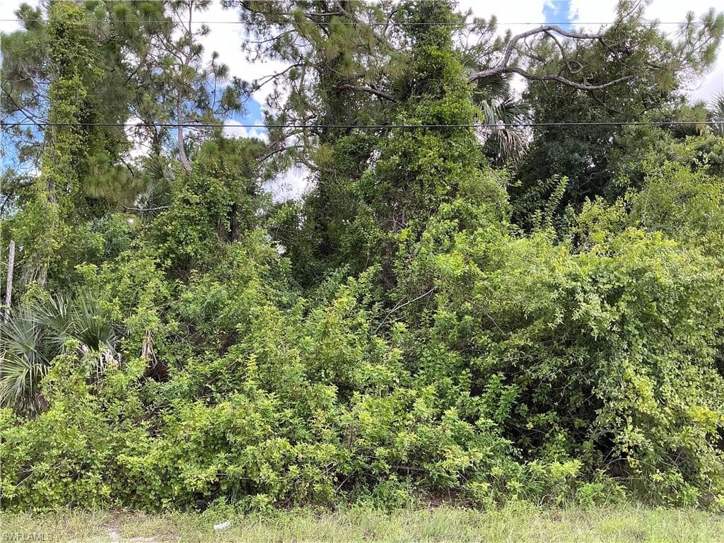 3005 16th ST W LEHIGH ACRES, FL 33971