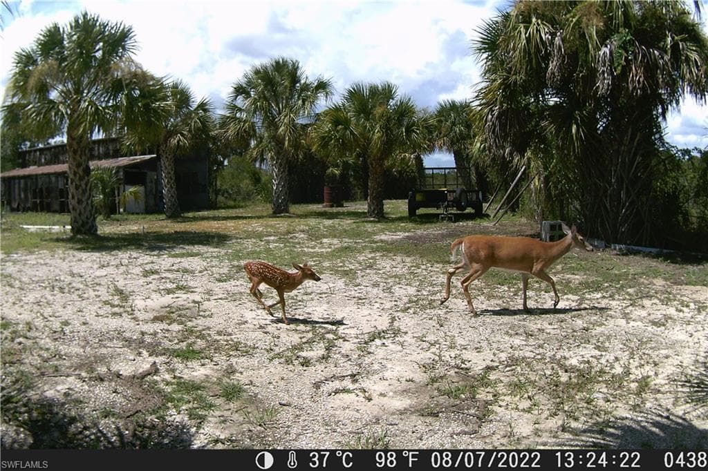 50316 Bermont RD PUNTA GORDA, FL 33982