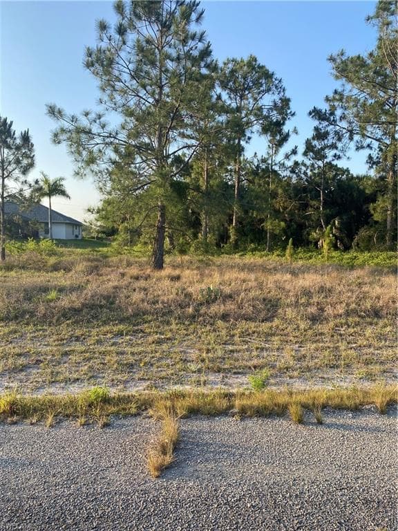 1241 Foggia ST E LEHIGH ACRES, FL 33974