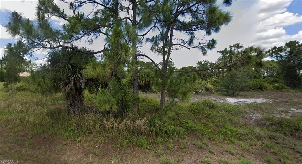 1125 Crocus ST LEHIGH ACRES, FL 33974