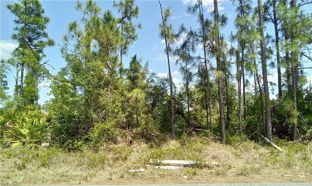 351 Brook AVE LEHIGH ACRES, FL 33974