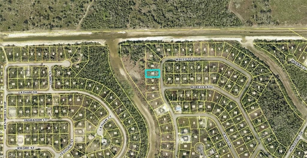 1957 Walcott LOOP LEHIGH ACRES, FL 33972