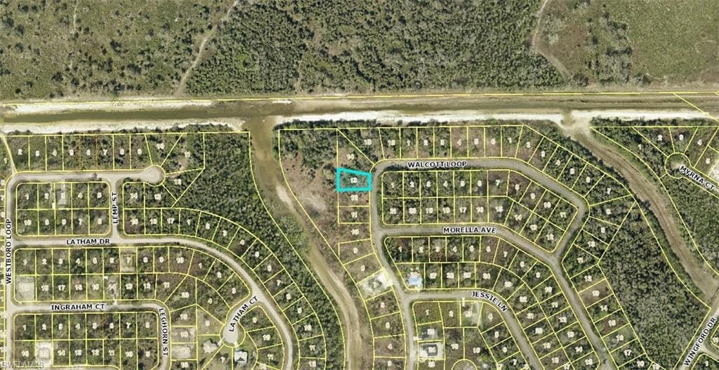 1959 Walcott LOOP LEHIGH ACRES, FL 33972
