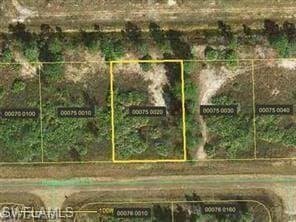 1131 Randletree ST E LEHIGH ACRES, FL 33974