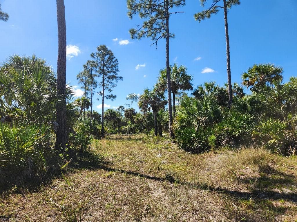 1901 ivy way NAPLES, FL 34117