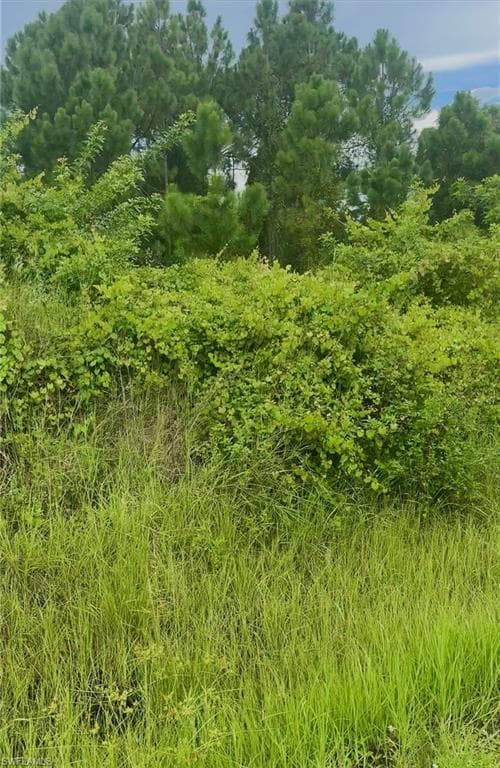 3107 Brian AVE S LEHIGH ACRES, FL 33976