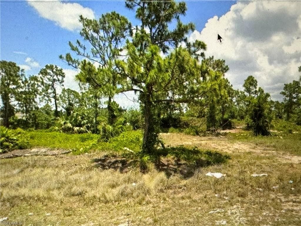 985 Gleason ST LEHIGH ACRES, FL 33974