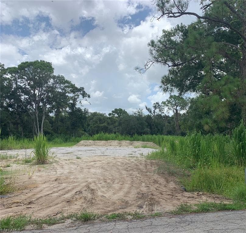 18601 Telegraph Creek LN ALVA, FL 33920