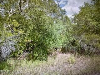 3419 Jean PT INVERNESS, FL 34450