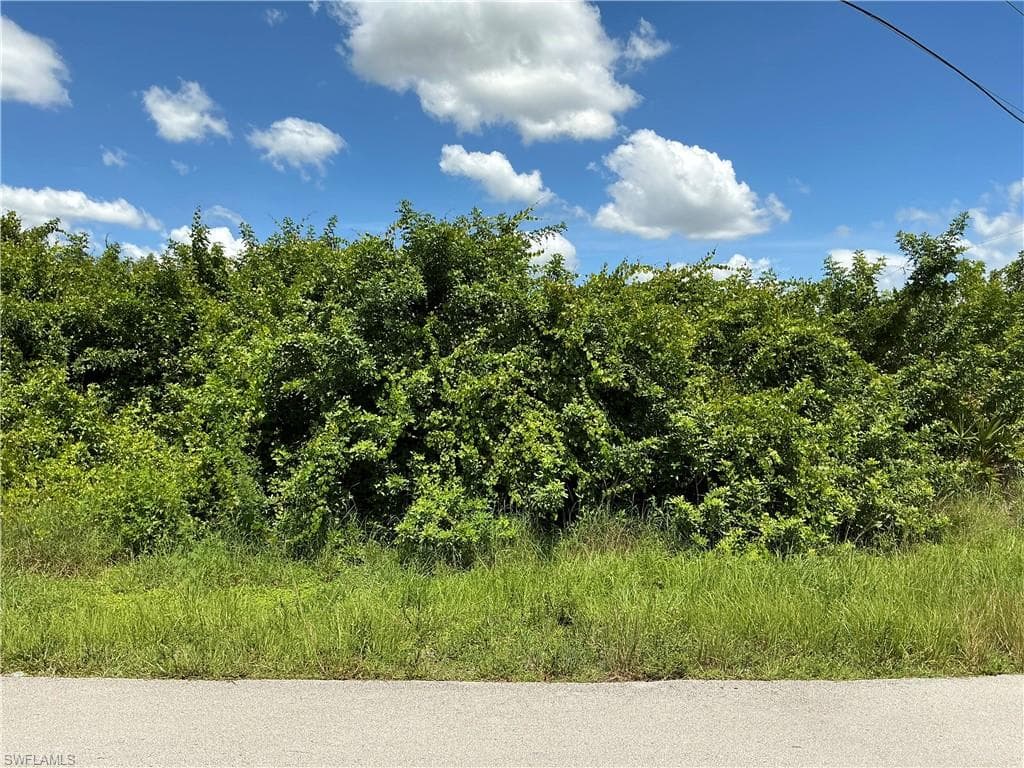 3105 Tena AVE S LEHIGH ACRES, FL 33976