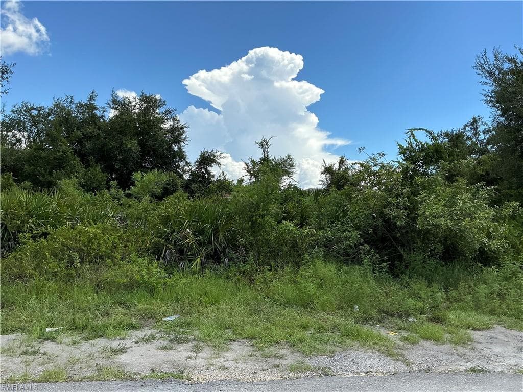 3009 29th ST SW LEHIGH ACRES, FL 33976
