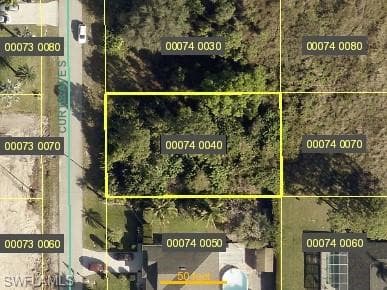 2907 Curtis AVE S LEHIGH ACRES, FL 33976
