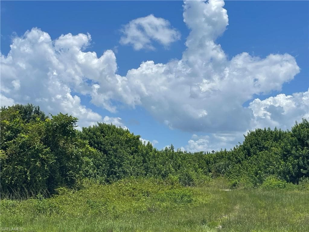 2703 NE 22nd PL CAPE CORAL, FL 33909