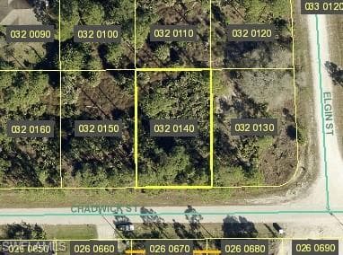 1053 Chadwick ST LEHIGH ACRES, FL 33974