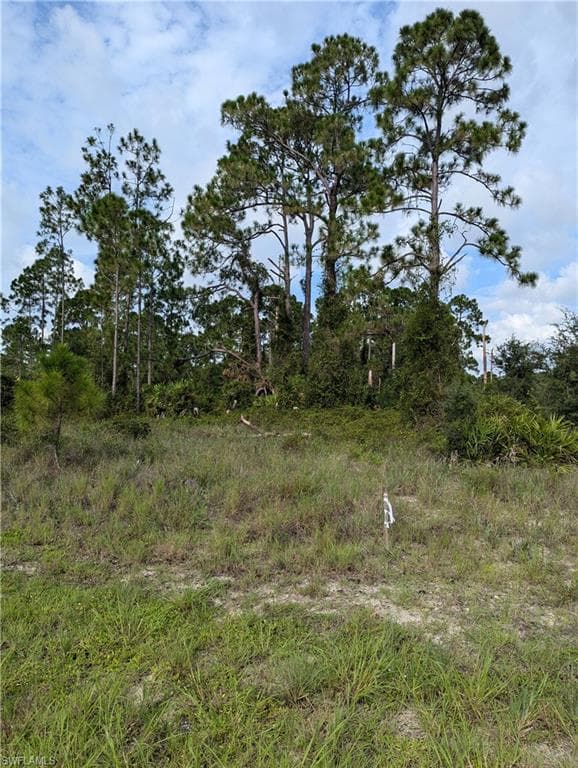 728 Fuller AVE S LEHIGH ACRES, FL 33974