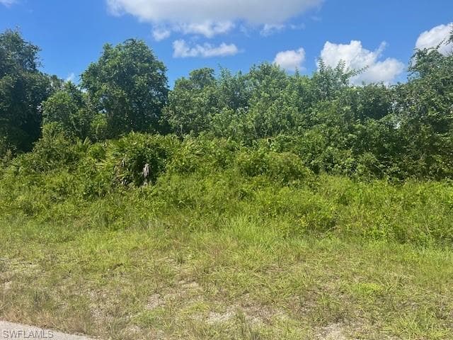 904 Ardmore ST LEHIGH ACRES, FL 33974