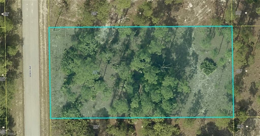 1116 Leroy AVE LEHIGH ACRES, FL 33972