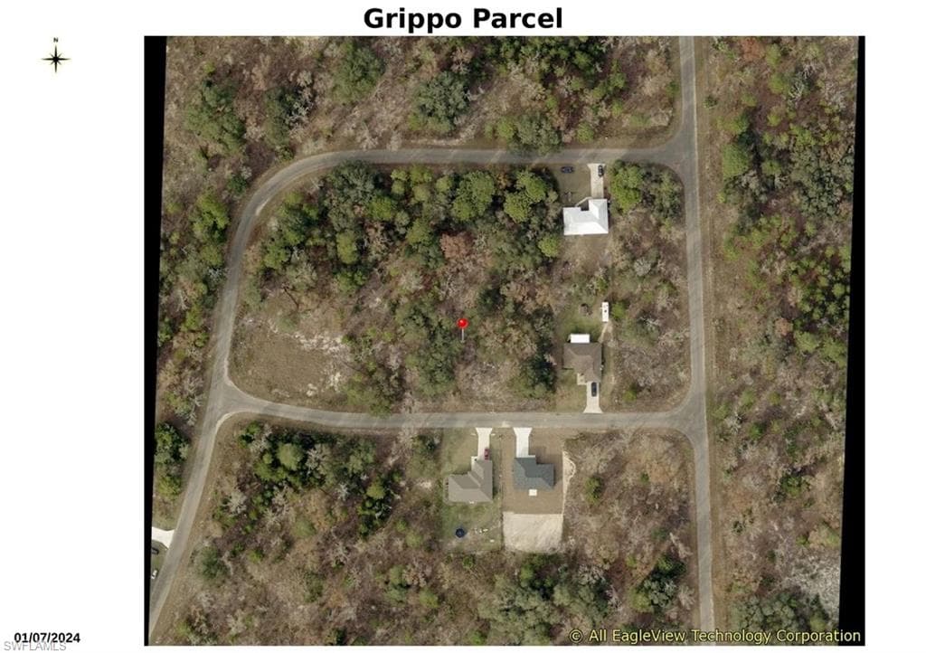 000 Guava Place Pass OCKLAWAHA, FL 32179