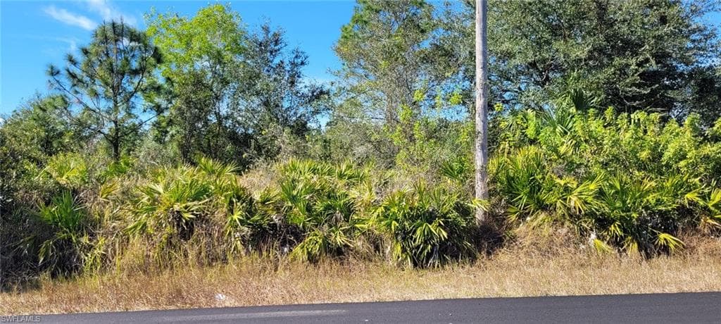 2020 Monroe AVE ALVA, FL 33920