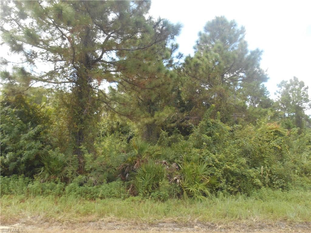 662 Foxchase DR LEHIGH ACRES, FL 33974