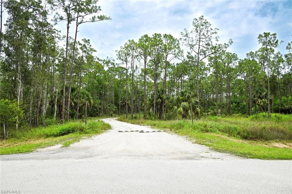 24443 Rocky RD BONITA SPRINGS, FL 34135