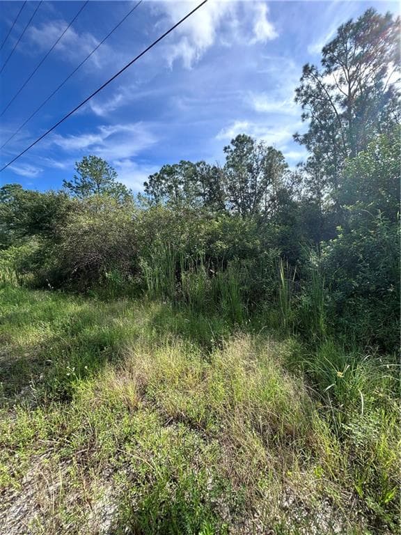 3370 Fernwood LN LABELLE, FL 33935