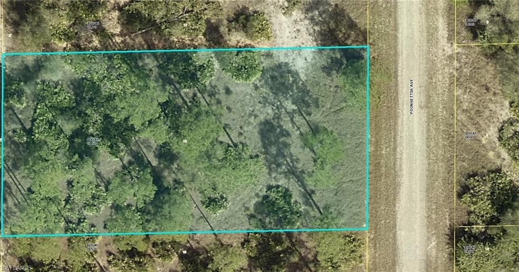 1507 Poinsettia AVE LEHIGH ACRES, FL 33972
