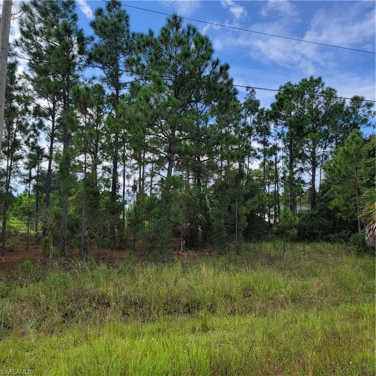 612 Charles Sise ST E LEHIGH ACRES, FL 33974