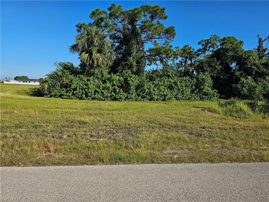 1007 Ceitus TER CAPE CORAL, FL 33991