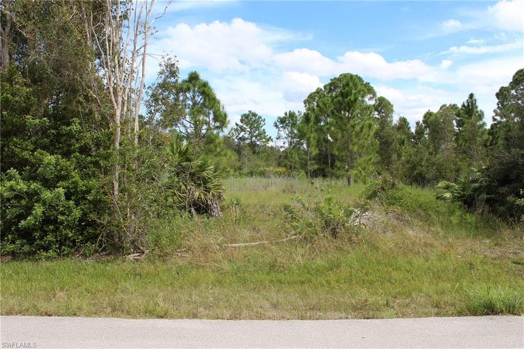 6016 Olive AVE N LEHIGH ACRES, FL 33971